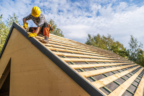 Best Roof Gutter Cleaning  in Lorenz Park, NY